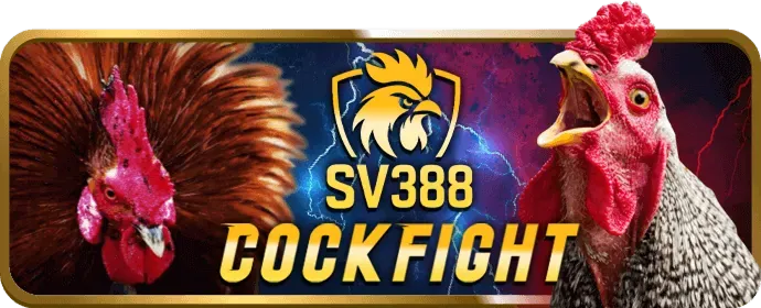 Đội ngũ chăm sóc khách hàng TNC365 chuyên nghiệp